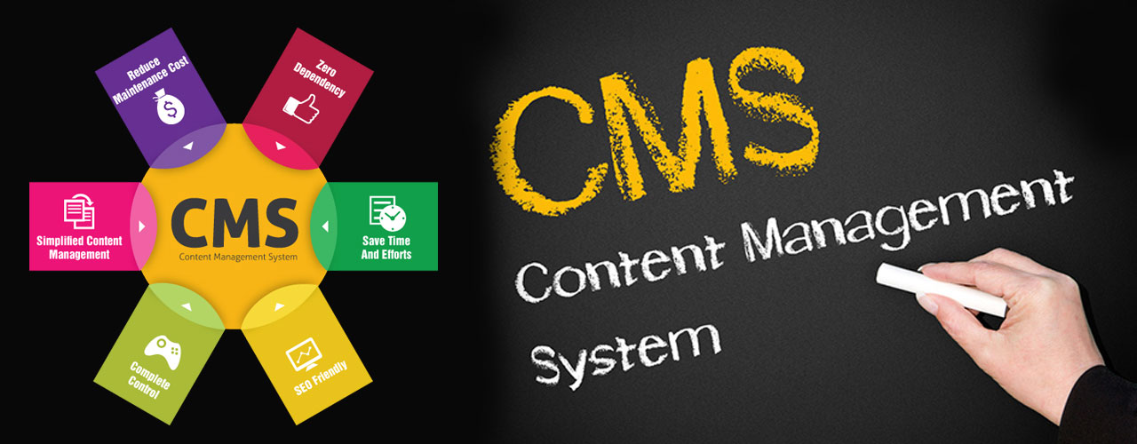 web development and cms web design kerala alappuzha